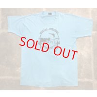 90年代  VINTAGE NATIVE Tシャツ /アメリカ製 ヴィンテージ ネイティブ