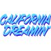画像4: Drawing (ドローイング) ORIGINAL California Dreamin' パッカブル リュック BLUE / オリジナル カリフォルニアドリーミング デイバッグ ブルー