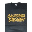 画像2:  Drawing (ドローイング) ORIGINAL California Dreamin' TEE ORANGE × BLACK / オリジナル カリフォルニアドリーミング 夢のカリフォルニア Ｔシャツ オレンジ ブラック (2)