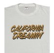 画像2:  Drawing (ドローイング) ORIGINAL California Dreamin' TEE ORANGE×WHITE / オリジナル カリフォルニアドリーミング 夢のカリフォルニア Ｔシャツ オレンジ ホワイト (2)
