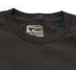 画像5: 日本未入荷 USA買付IN-N-OUT BURGER(インアンドアウトバーガー)ORIGINAL 2023 ROCK 2 FREEDOM BAND TEE  BLACK/Tシャツ ロック フリーダム バンド ブラック カリフォルニア (5)
